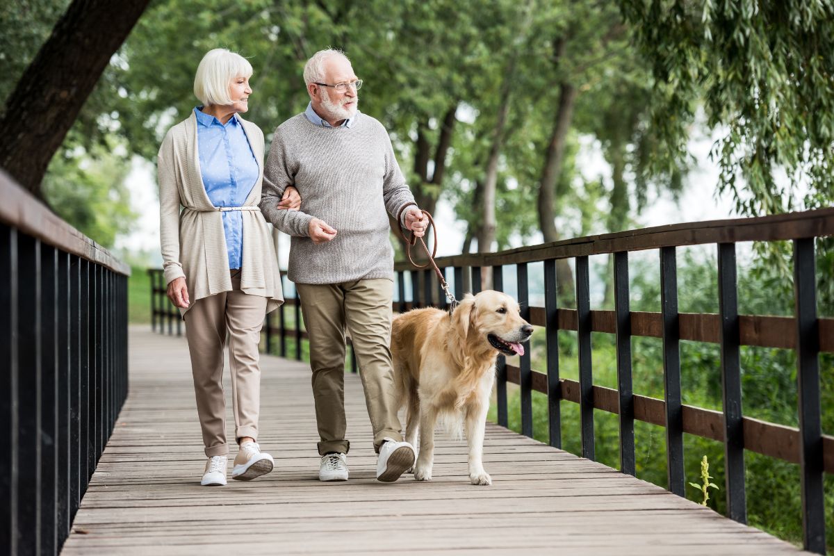 Pareja de personas mayores caminando con su perro